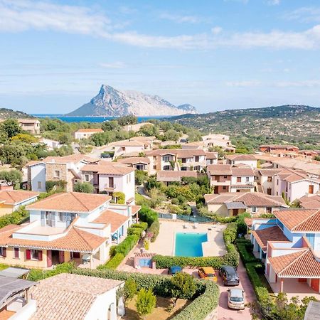 Residence La Tartaruga モンテ・ペトロズ エクステリア 写真